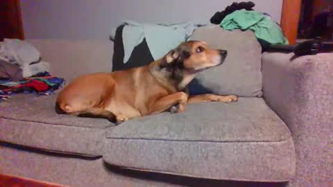 blaw_1321 online show from March 8, 5:59 am