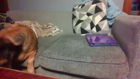 blaw_1321 online show from September 21, 10:03 pm