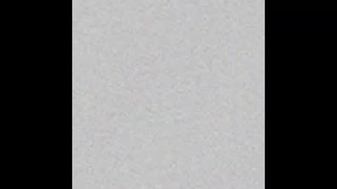 blue katt online show from January 16, 2:42 am