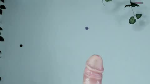 Sophie  online show from April 12, 9:41 pm