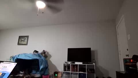 BluFl4m3 online show from December 15, 3:35 am