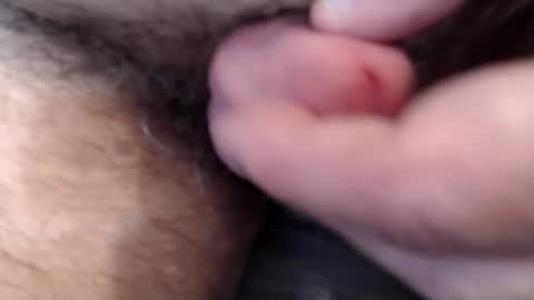 bobswan online show from February 8, 3:37 pm