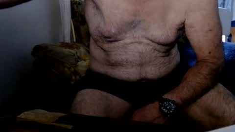 bolbil1 online show from July 27, 12:35 pm