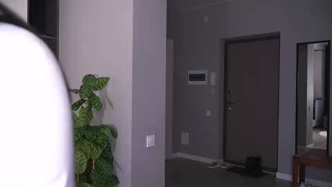 Akemi online show from December 20, 7:15 am