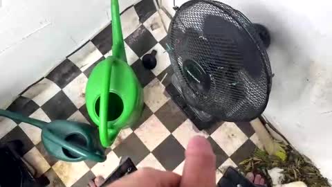 bonershot online show from March 23, 5:40 pm