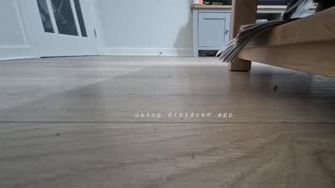 bonny8723 online show from January 13, 6:59 pm