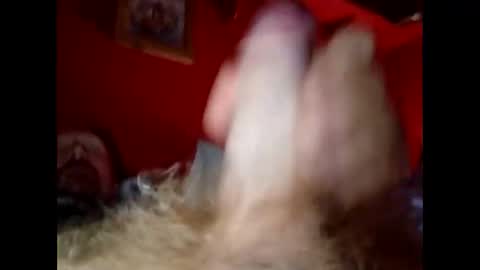 bonzoband online show from December 20, 10:05 am