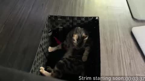 Booker Baxton online show from February 24, 4:04 am