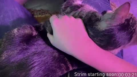 Booker Baxton online show from October 28, 3:07 am