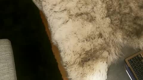 Kim and Kooper online show from March 7, 2:25 am