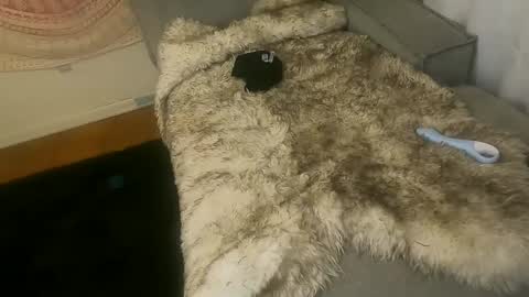 Kim and Kooper online show from March 9, 12:00 am