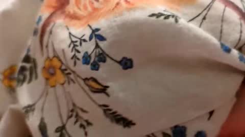 Borderslad1101 online show from October 27, 8:09 pm