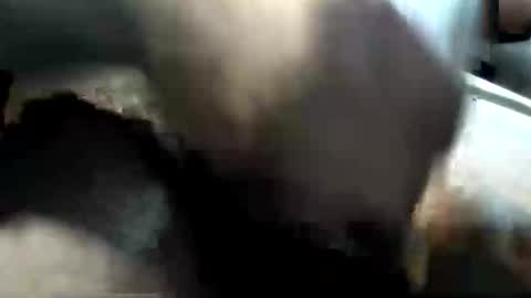 botofogo online show from January 15, 5:05 am