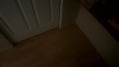 BoyfriendDyck online show from October 26, 6:36 am