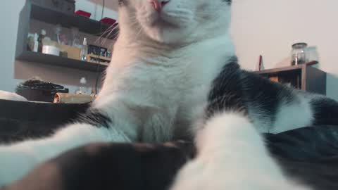 breakfastwithtiffanys online show from November 27, 10:28 pm