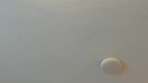 Brittany  online show from November 11, 3:42 am