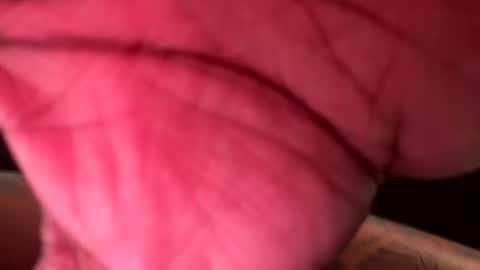 bucky_lastard57 online show from March 25, 3:08 pm