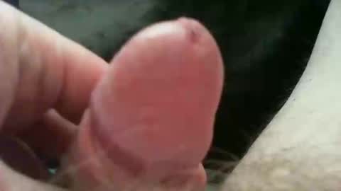 bullemoe online show from November 19, 8:13 am