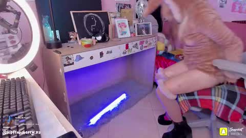        online show from November 26, 4:15 pm