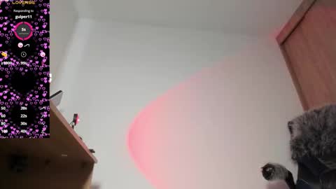 Sammy online show from November 13, 2:31 pm