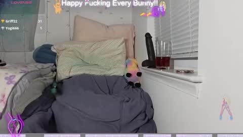 Tokki  bunny  online show from December 7, 2:58 am