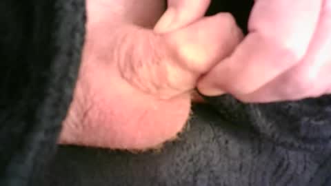 Hamish online show from December 1, 12:19 am