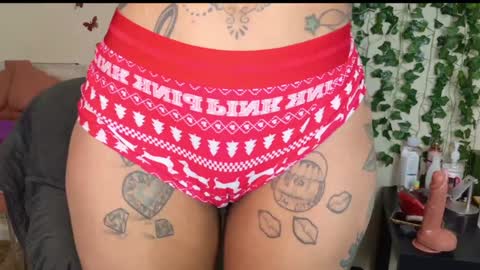 Snapshot of butterflybootyy chatting on January 9, 2:01 am butterfly booty online show from January 9, 2:01 am