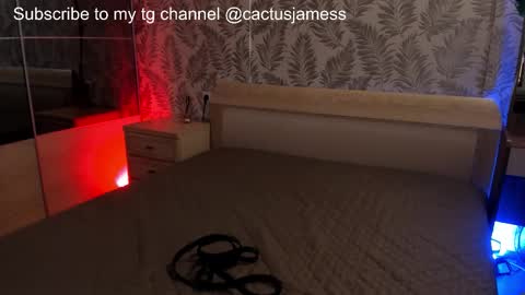 Snapshot of cactusjames_69 chatting on October 2, 1:37 am James online show from October 2, 1:37 am