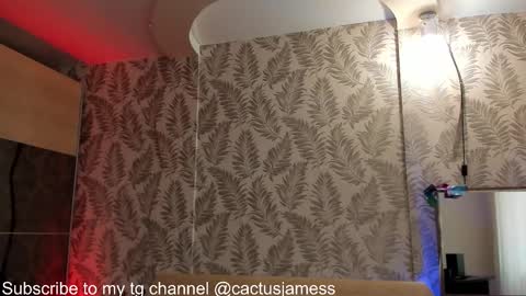 Snapshot of cactusjames_69 chatting on October 7, 10:11 am James online show from October 7, 10:11 am