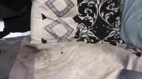 Calisguitar online show from October 13, 6:54 pm