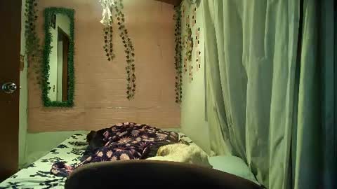 paula online show from July 30, 1:50 am