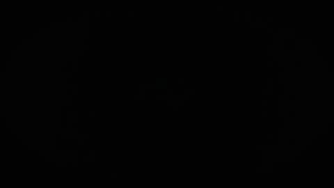 Charly online show from April 2, 10:55 am