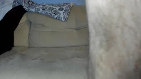 canadiangamer86 online show from December 14, 9:37 am