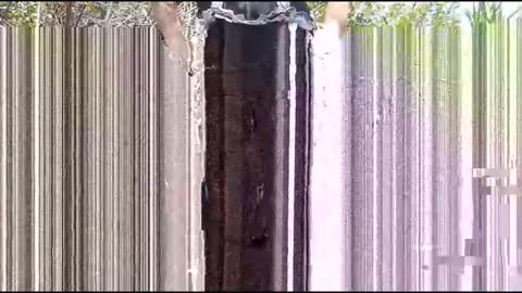 Candi Cakes online show from March 4, 8:06 pm