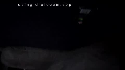 capoo24 online show from June 17, 1:43 am