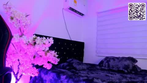 Snapshot of caramelo_exotico chatting on December 13, 3:05 am Caramel online show from December 13, 3:05 am