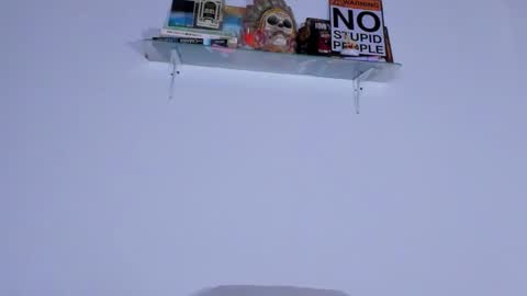 CarolinaM online show from November 19, 3:33 pm