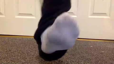 cash13bychanel online show from January 26, 1:41 am