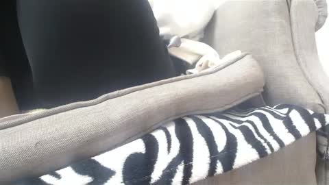 Snapshot of cassandra_joy chatting on February 18, 3:41 pm Cassandra joy online show from February 18, 3:41 pm