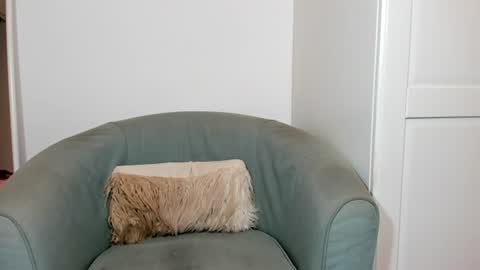 cassiecute - onlyfans account online show from July 13, 8:56 pm