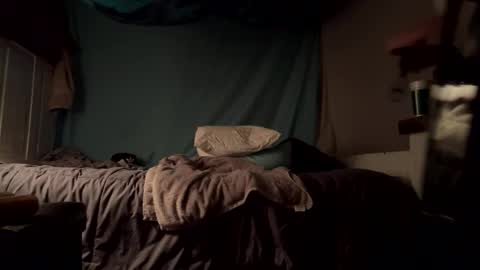 cassieophia online show from February 12, 9:31 am