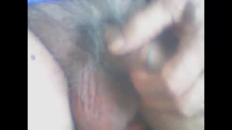 castells online show from April 19, 3:46 pm