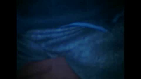 castells online show from November 11, 5:48 pm