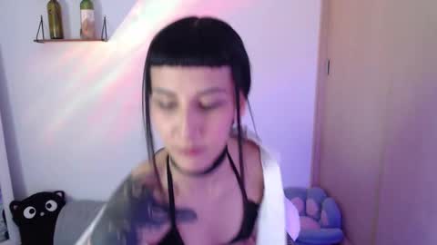 cat online show from February 20, 1:57 am