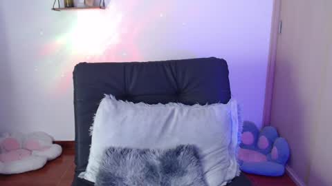 cat online show from January 21, 12:57 am