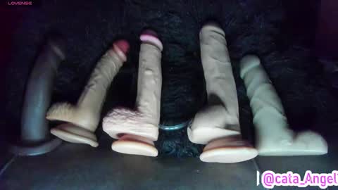 Cata Angel online show from November 10, 1:41 am