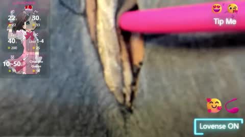 Cataleya online show from November 20, 4:37 pm