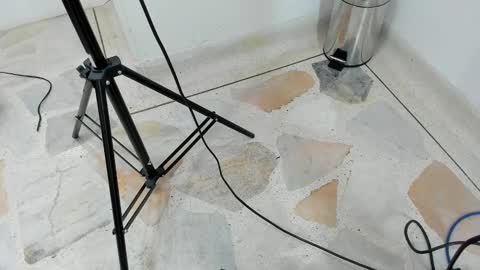 catalina ada online show from March 11, 5:46 pm