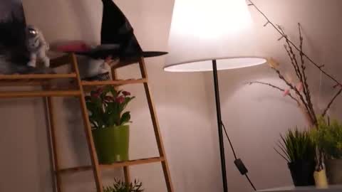 Lee online show from January 5, 5:27 pm