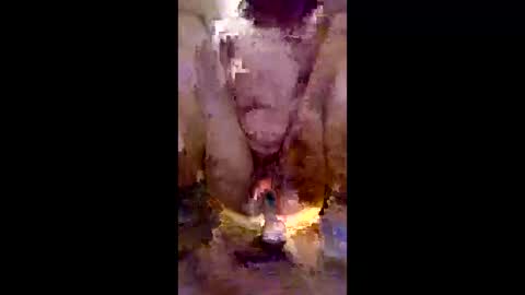 cats_summer online show from March 1, 4:50 am